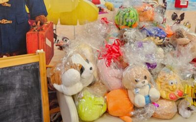 IGRAČKOM DO DJEČJEG OSMIJEHA – AKCIJA PRIKUPLJANJA PLIŠANIH IGRAČAKA ZA DJEČJU BOLNICU SREBRNJAK